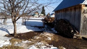 Чистим коровник, стройка магазина продолжается