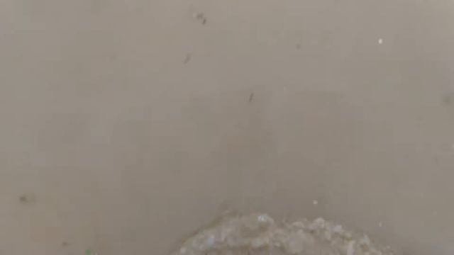 День станицы Мингрельской смотреть онлайн