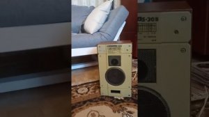 Китайский стерео усь на базе двух микросхем TDA 8954 ТН