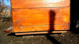 Дублирую весеннюю обработку пчел от клеща,пластинами Апизан.beekeeping