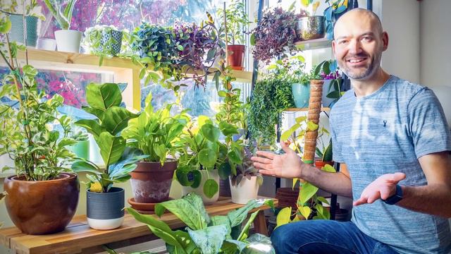 10 Expert Plant Care Tips I Wish I Knew 5 Years Ago смотреть онлайн