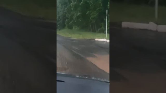 В Кемерово по улицам ходят медведи ! Взрослый медведь бегает по жилым районам города Кемерово