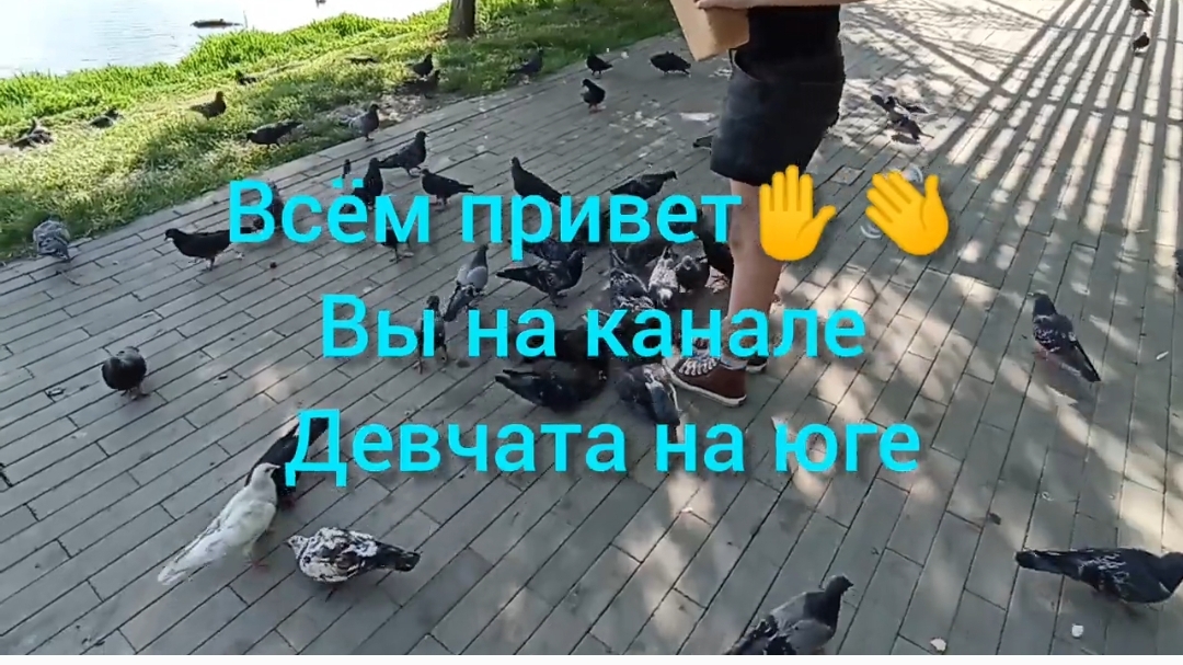 Краснодар Дмитриевский сквер Карасунские озёра