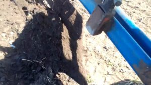 Плуг с перьевым отвалом в работе!