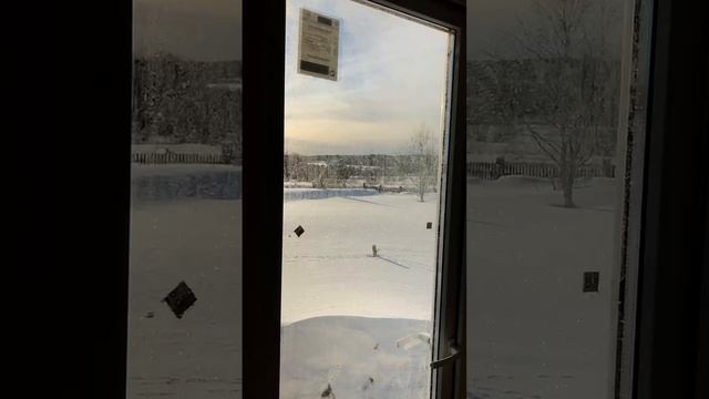? Установка окон и дверей. Залесская Артель