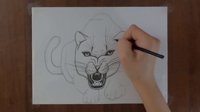 Ягуар как нарисовать / How to Draw a Jaguar / Pencil drawing смотреть онлайн