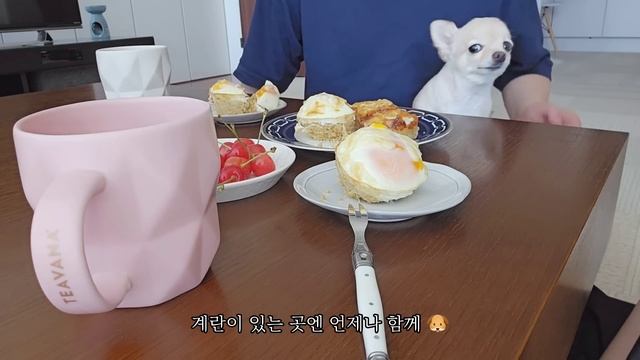 편의점 신상 간식 쇼핑하고 마트 장보는 일상, 38층 만다린 호텔에서 애프터눈티, 오트밀 계란빵 l 일본 도쿄 VLOG