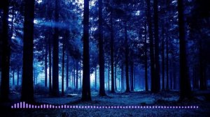 Звуки леса: крики совы и стрекот сверчков для улучшения сна и борьбы с бессонницей ? Звуки природы