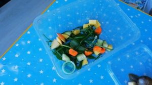 у нас появились виноградные улитки