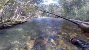 Ловля дикой форели на блесну !