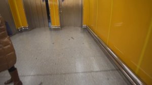 Czech Republic, Prague, Národní třída metro station, 2X elevator, 2X escalator