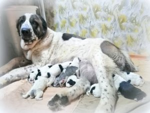 Тайна рождения.