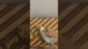 Обновляем старую ширму. Новая шикарная ширма для дома своими руками!