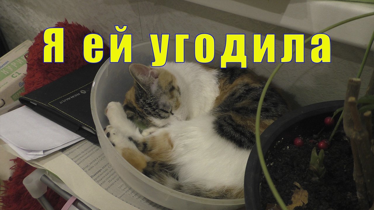 Я ЕЙ УГОДИЛА /КАК Я ВАРЮ СОЛЯНКУ/ 30 октября 2022.mp4