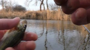 Рыбалка на ПОПЛАВОК в ДЕКАБРЕ. Ловля ерша и окуня