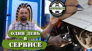 🔴 Один день в сервисе НИВОВОД.РФ