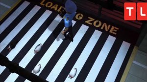 Мадагаскар 4 новости