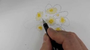 How to draw and paint Primroses  - Spoken Tutorial