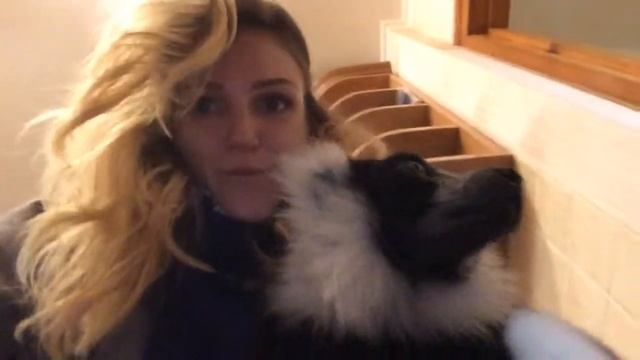 Лемур Вари смотреть онлайн