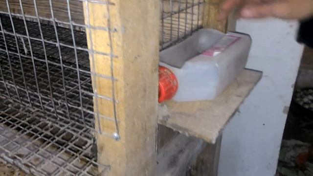 Клетка для перепелов своими руками. Моя первая клетка!