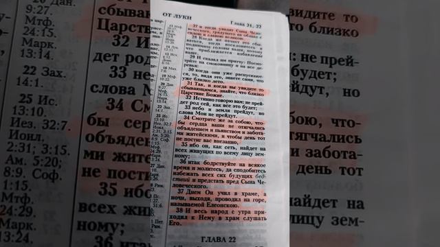 Смотрите же за собою, чтобы сердца ваши не отягчались объядением и пьянством и заботами житейскими,