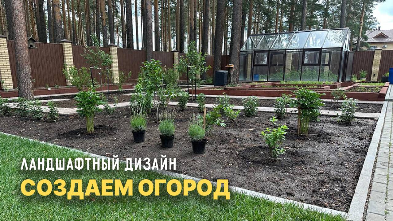 Современный огород с высокими грядами