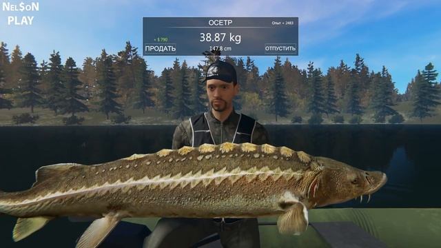 Professional Fishing - Ловим осетров и обкатываем квадроцикл #5