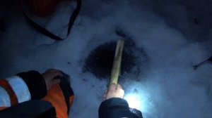 Первые НАЛИМЫ на Стукалку. Весна 2021