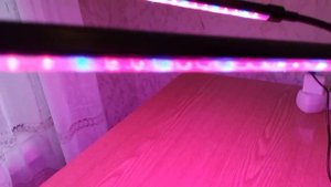 Купила светильник для рассады на Wildberries