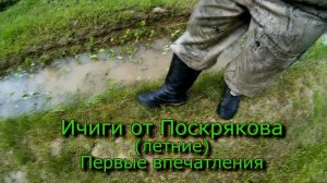 Ичиги от Поскрякова (летние) Первые впечатления