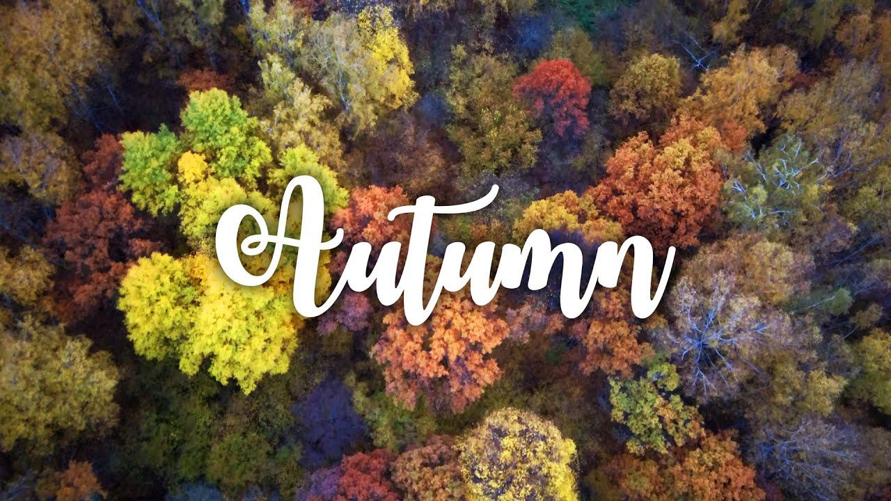 Осень. Русская природа. Подмосковье | Autumn. Russian nature. Cinematic music b-roll 4k. Drone