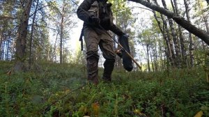 РЫБАЛКА в СЕНТЯБРЕ на КОЛЬСКОМ Полуострове | СКОЛЬКО же здесь ГРИБОВ !? Рыболовное Приключение