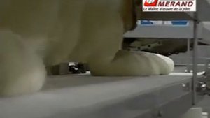 Автоматизированная хлебопекарная линия : тестоделитель+шкаф промежуточной расстойки Leader MERAND