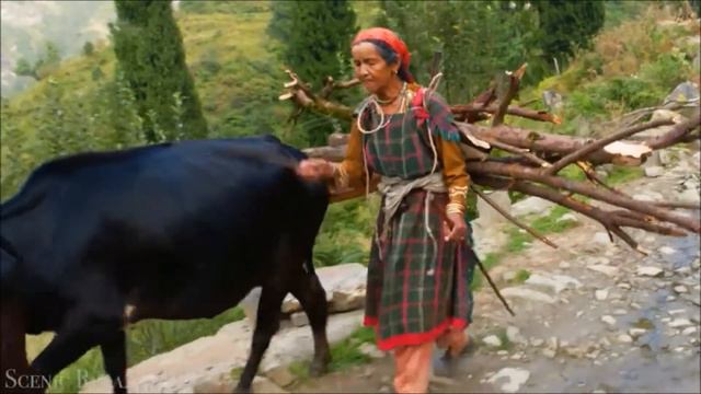 Обитель  Богов/Over the Himalayas
