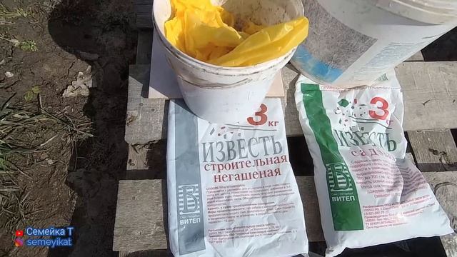 Пруд на даче. Известкование пруда с рыбой как профилактика заболеваний и замора рыб. Свой пруд.