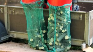 Измельчитель веток АМ-120БД АРПАЛ