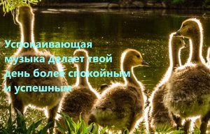 Музыка для души и сердца, снимает напряжение и усталость