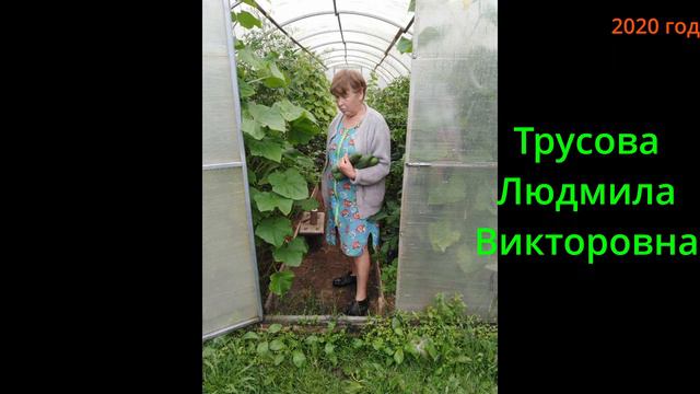 Семейный альбом