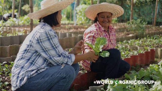 World Organic Group presents Peatgel+ смотреть онлайн