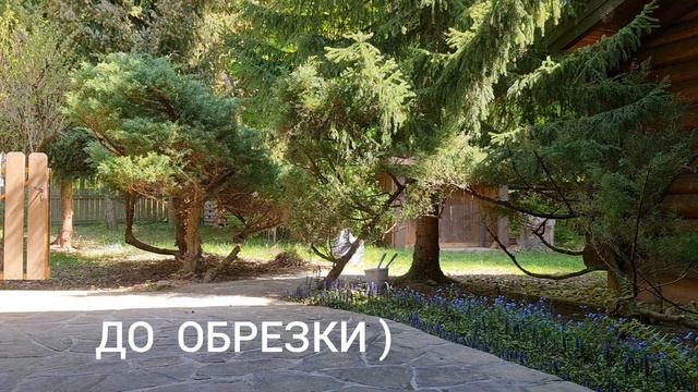 ???ОДИН ДЕНЬ ИЗ МОЕЙ ДЕРЕВЕНСКОЙ ЖИЗНИ В АВСТРИИ))) РЕЦЕПТ МЯСНОГО ПИРОГА  ИЗ ДРОЖЖЕВОГО ТЕСТА ??