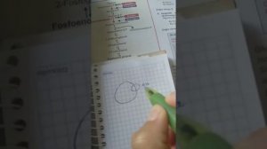 Механизм гемолиза