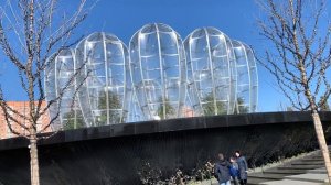 Краснодар. Микрорайон Панорама. Парк Галицкого