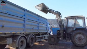 Зерновозы автопоезда КамАЗ приехали за пшеницей!
