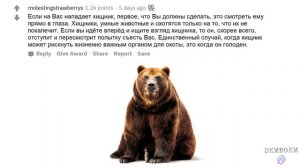 #реддит #апвоут #истории ЭТИ ФАКТЫ СПАСУТ ВАМ ЖИЗНЬ.