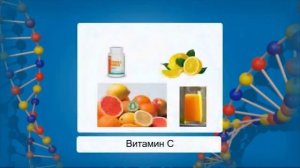 Строение и функции АТФ. Видеоурок по биологии 10 класс