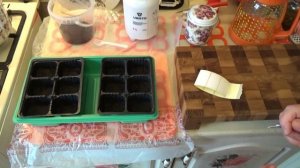 Сеем томаты серии Гномы на рассаду  6 февраля