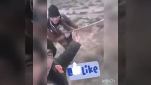 Миллион миллион алых роз прикол