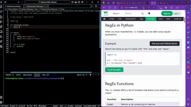 Pro Python Challenge 2 - Matching basic patterns