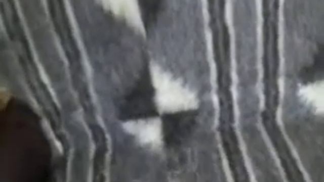 Покрывала пледы шерстяные смотреть онлайн