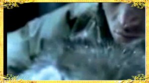 ВОЛЧИЦА исп. Татьяна Тишинская